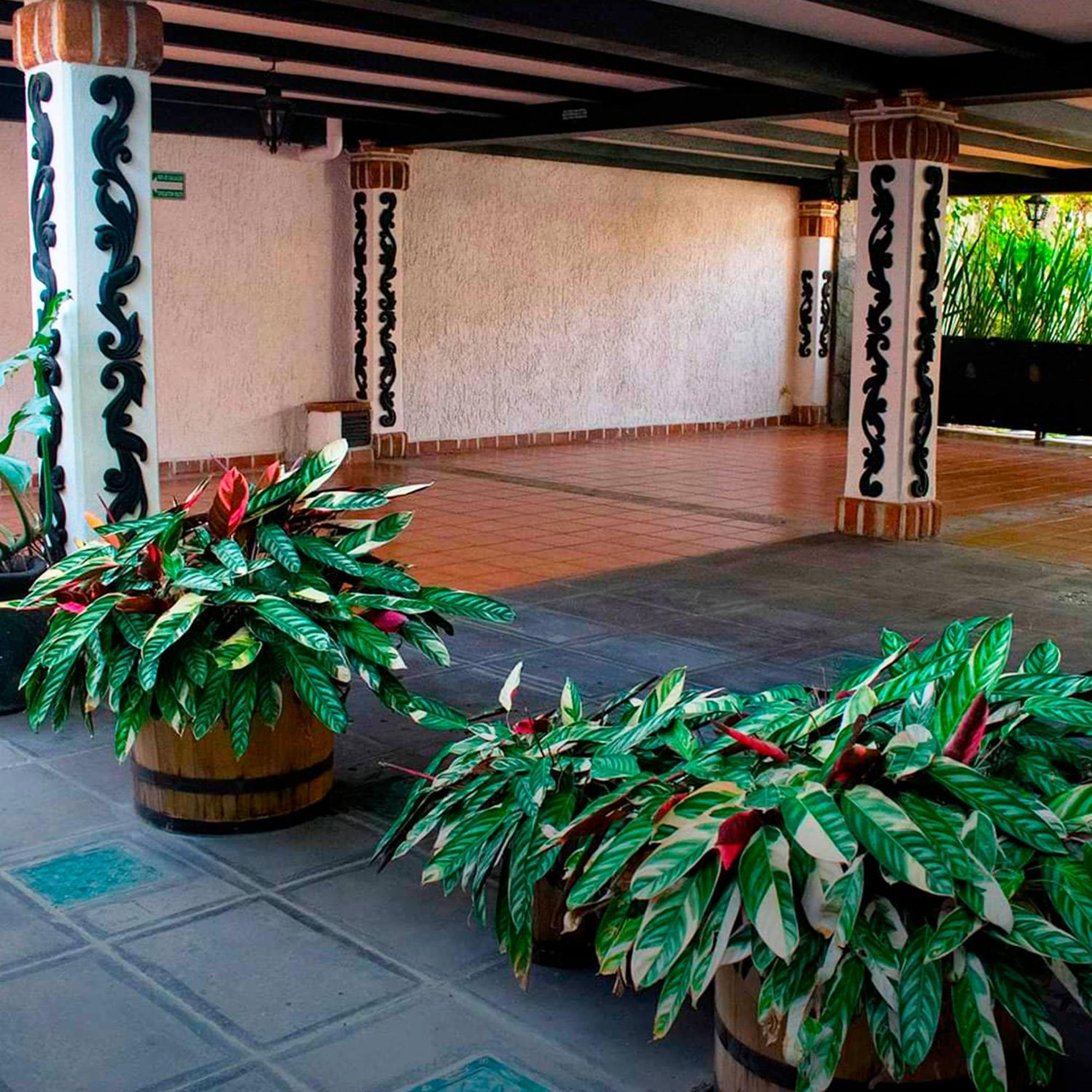 Hotel Boutique La Mansion Guadalajara Ngoại thất bức ảnh